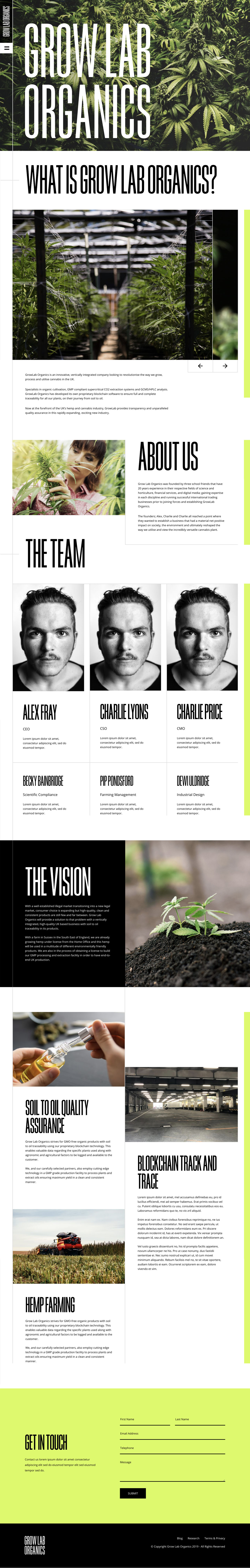 V Restaurant Website Design